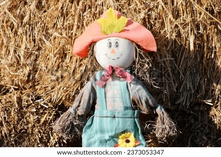 A scarecrow sitting in front of a bale of har.