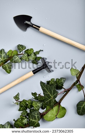 Gardening tools and green leaves on grey background, Spring garden works concept, flat lay, top view, copy space.