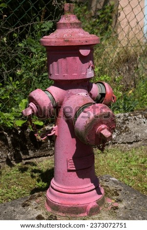 old pink painted fire hydrant on the sidewalk next to the road