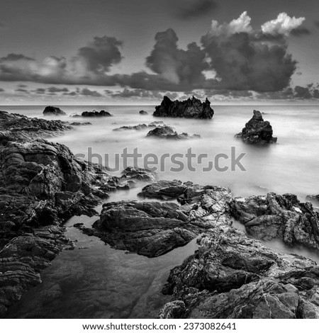 seascape rocky beach in black and white, A slow shutter speed was used to see the movement ( Soft focus due to long exposure shot )