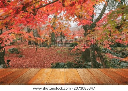 The empty wooden table top with background of autumn. Japan autumn background.