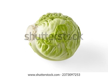 A head of fresh white cabbage isolated on a white background. Beautiful quality cabbage for the menu.