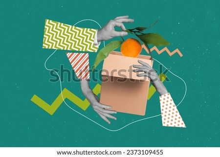 Photo cartoon comics sketch collage picture of hands packing fruit delivery isolated creative background
