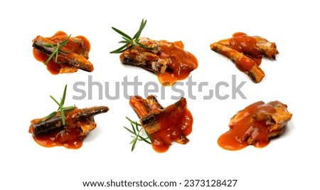 Fish in tomato sauce isolated. Fried herring, sprat fillet, canned mackerel with ketchup, saury in red sauce on white background top view