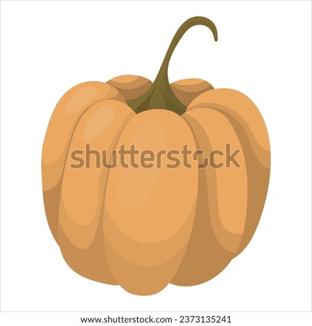 Pumpkin. vector illustration on a white background