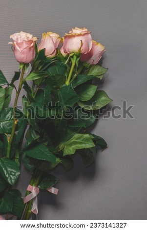 Bouquet of pink roses of flowers with large green leaves on a gray background.