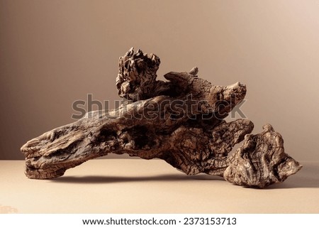 Old dry wooden snag on a beige background. Place your product in the foreground. Copy space. Royalty-Free Stock Photo #2373153713