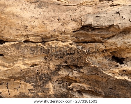 Details and shapes of weathered wood pieces Royalty-Free Stock Photo #2373181501