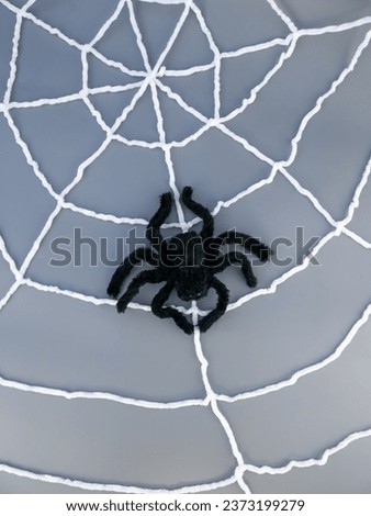 Black toy spider on a white web on a gray background, Halloween