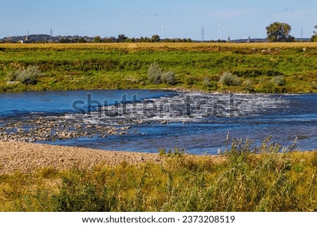 Maas river with water flowing between stones, alluvial terrain, Belgian countryside with trees against blue sky in background, sunny day in Maasvallei nature reserve in Meers, Elsloo, Netherlands