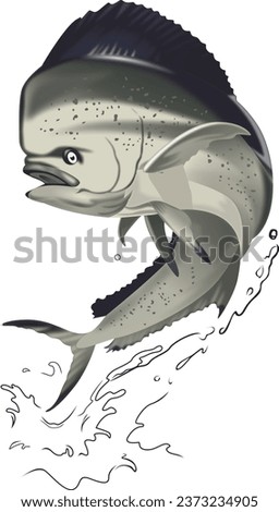 This fish vector is showing a 3d look and this such much time of designing timing because its shading is difficult