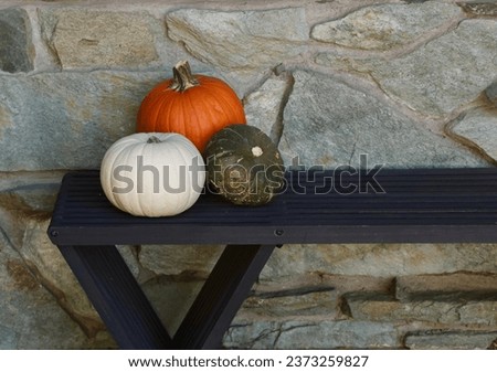Decorative Autumn pumpkins arranged on a bench