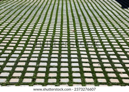 Repeating pattern of grass and stone