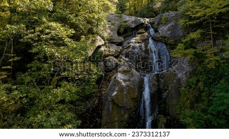A beautiful waterfalls set in a mountain environment as the leaves start changing for fall.