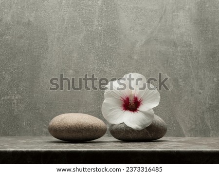stones and flowers for product presentation. minimalistic spa still life for podium background