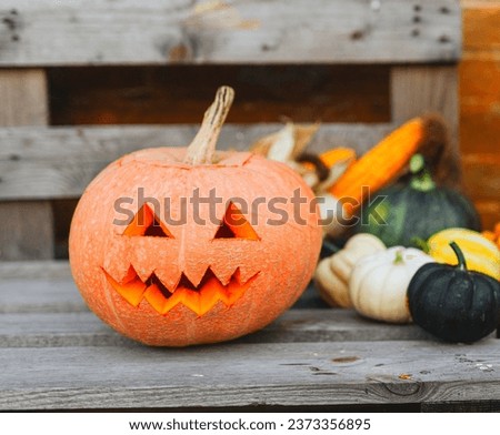 A beautiful Halloween pumpkin placed on top of a chair