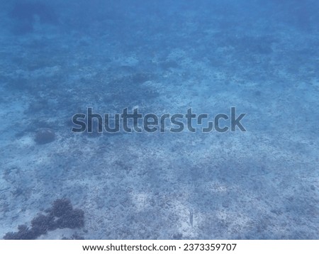 Scenery of coral and white sand in the sea