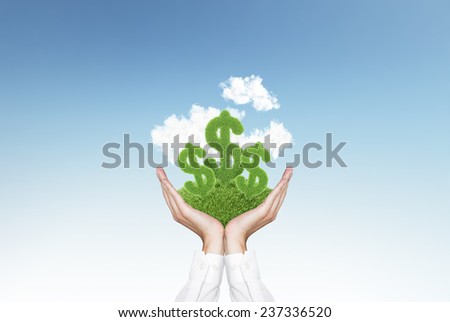 dollar grass letter in hands on sky background