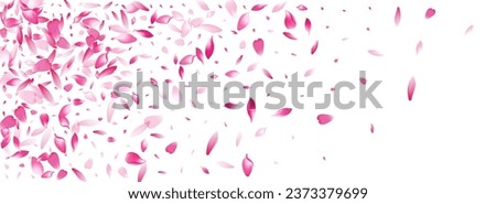 Color Sakura Petal Vector Panoramic Background. Pastel Wallpaper Lotus Petal Template. Flower Petal Modern Poster. Spring Peach Petal Cover.