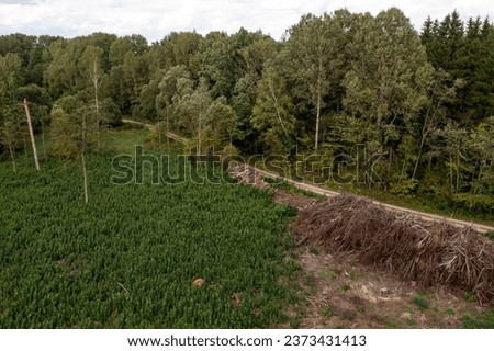 Drone photography of a pile of logs near a rural dirt road and logging site during summer sunny day