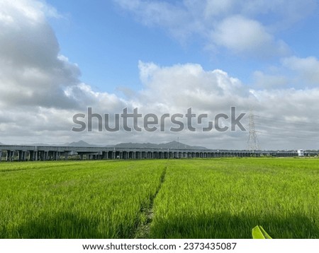 A picture of green rice field in rural area Kulon Progo, Yogyakarta, Indonesia with a mountain view and a railway track in the backgorund