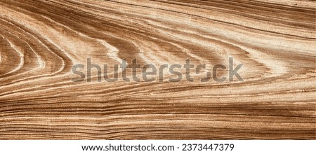 light brown white textured tree trunk with veined inner surface Royalty-Free Stock Photo #2373447379