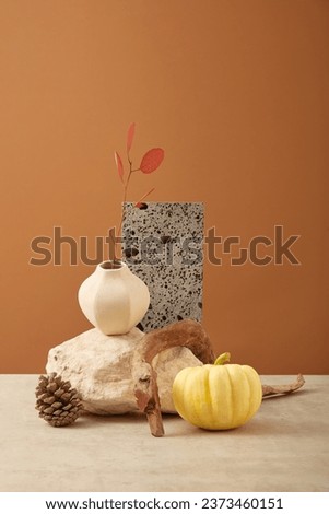 A pine cone, pumpkin, tree branch and a flower pot arranged with stones. Thanksgiving Day is a holiday for many people to give thanks for what they have