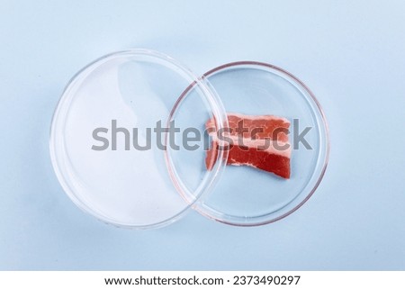 Bacon in Glass Petri Dish. Laboratory Studies of Artificial Meat. Chemical Stock Image
