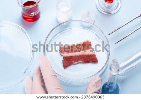 Bacon in Glass Petri Dish. Laboratory Studies of Artificial Meat. Chemical Stock Image