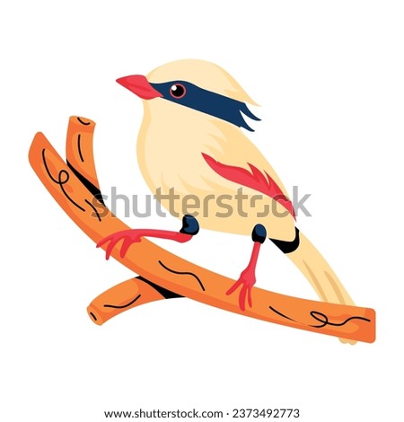 Cute flat icon of indochinese bird 