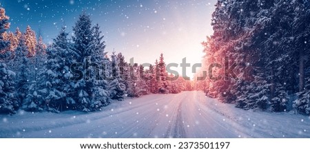 Beautiful winter road in natural sunny park. Royalty-Free Stock Photo #2373501197