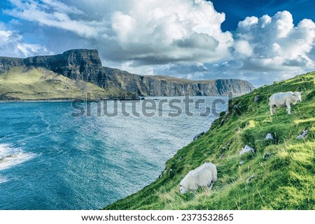 Isle of Skye is the largest island in the Inner Hebrides. It lies just off the west coast of mainland Scotland in the Atlantic Ocean.
Beautiful solitude in a quiet atmosphere without people. Royalty-Free Stock Photo #2373532865