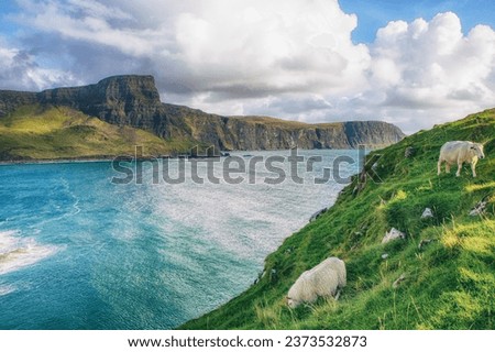 Isle of Skye is the largest island in the Inner Hebrides. It lies just off the west coast of mainland Scotland in the Atlantic Ocean.
Beautiful solitude in a quiet atmosphere without people. Royalty-Free Stock Photo #2373532873