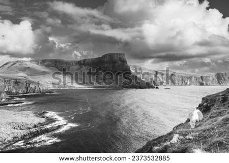 Isle of Skye is the largest island in the Inner Hebrides. It lies just off the west coast of mainland Scotland in the Atlantic Ocean.
Beautiful solitude in a quiet atmosphere without people. Royalty-Free Stock Photo #2373532885