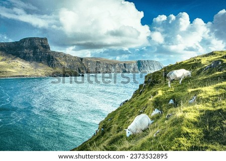 Isle of Skye is the largest island in the Inner Hebrides. It lies just off the west coast of mainland Scotland in the Atlantic Ocean.
Beautiful solitude in a quiet atmosphere without people. Royalty-Free Stock Photo #2373532895