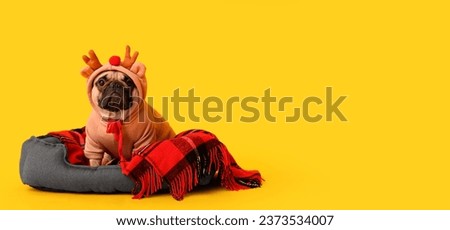 Cute dog with reindeer antlers and plaid sitting in pet bed on yellow background with space for text. Christmas banner
