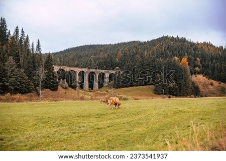 Chmarossky viadukt, a famous landmark railroad bridge in Telgárt, Slovakia, Horehronie region, Low Tatras