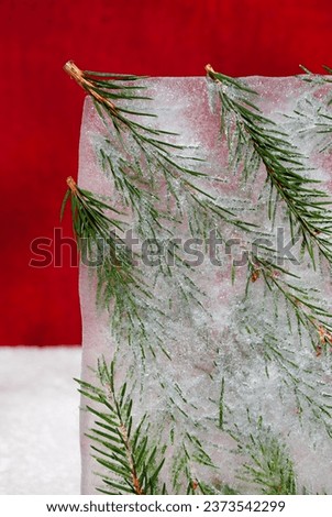 Sprigs of a Christmas tree frozen in block of ice on a red velvet background. Minimal winter holidays concept
