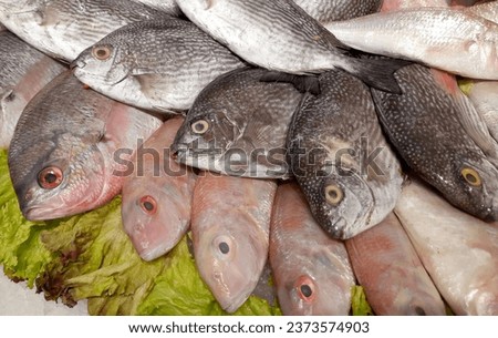 Many fresh fish on the market with ice
