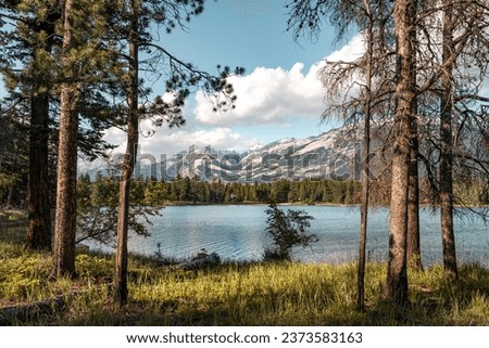 View through trees on Edith Lake in Canada on a sunny summers day Royalty-Free Stock Photo #2373583163