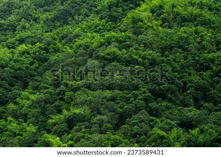 Pictures of beautiful natural landscapes, trees and mountains.