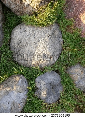 rocks with grass surrounding them
