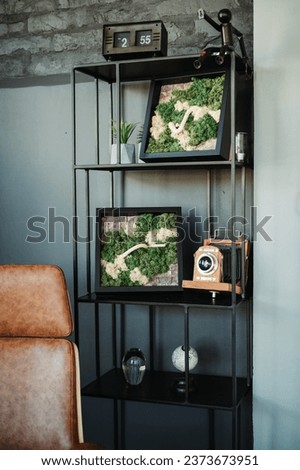 Office decoration portrait with moss pictures and a vintage camera