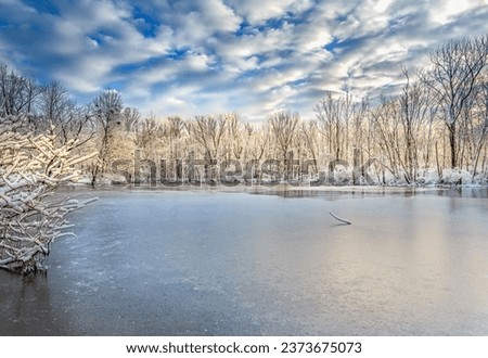 A frozen Caperton Swamp Louisville Kentucky at sunrise. Royalty-Free Stock Photo #2373675073