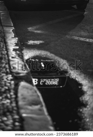A vertical of a bus's sign reflecting on a puddle in grayscale