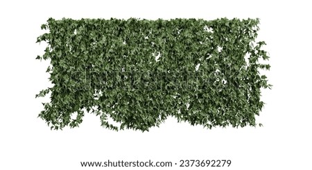 Wall creeper plants on transparent background, 3D rendering, for illustration, digital composition and architecture visualization