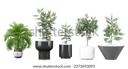 Set of Vibrant Plants Cut-Outs