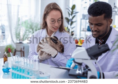 Scientist or pharmacist do research chemical ingredients test on animal in laboratory. rabbit in scientific lab experiment.