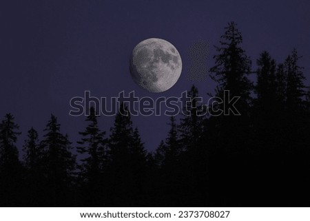 Hazy Purple Sunset Over Pine Trees with Full Moon