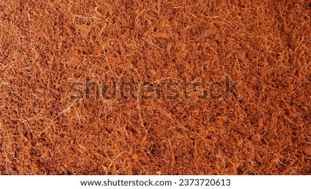 texture background from cocopeat. Cocopeat is a planting medium made from coconut fiber Royalty-Free Stock Photo #2373720613